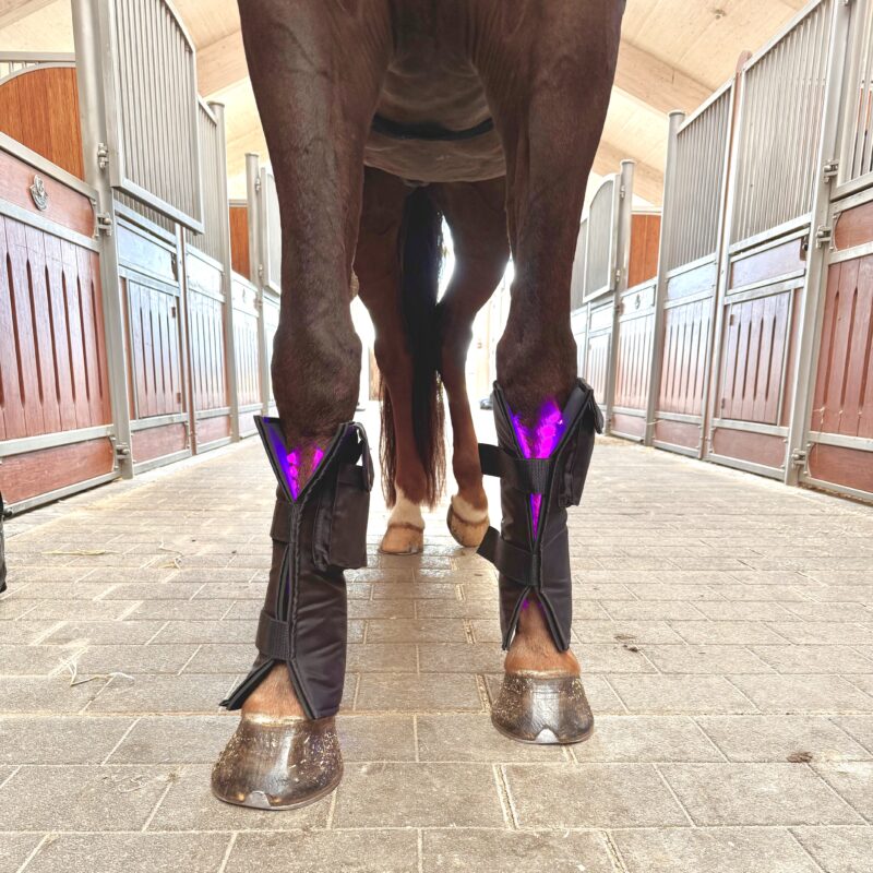 equine lts 3,0